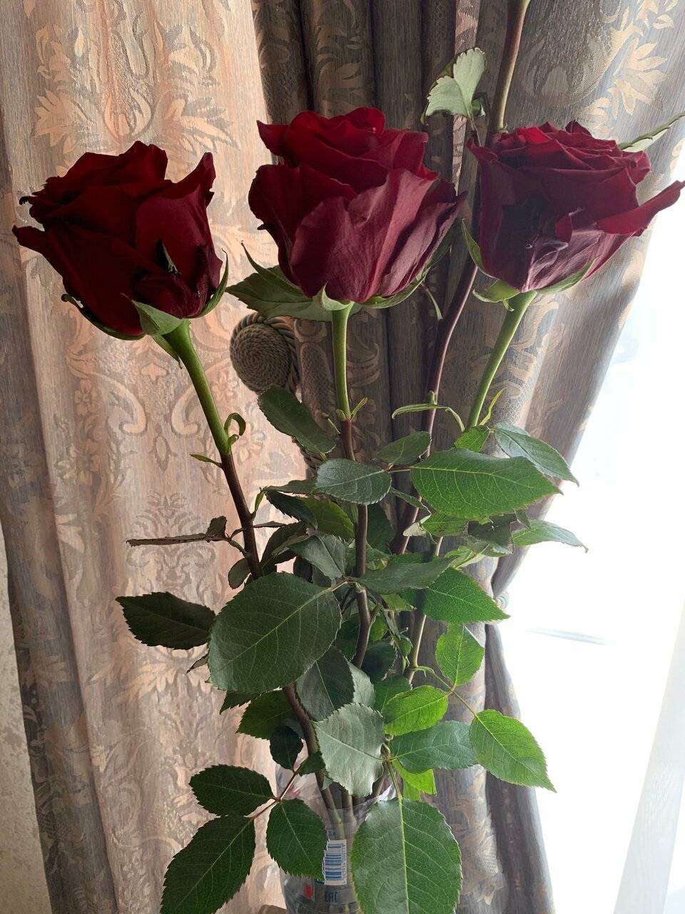 Фото Гостиницы Старая Москва Москва 76